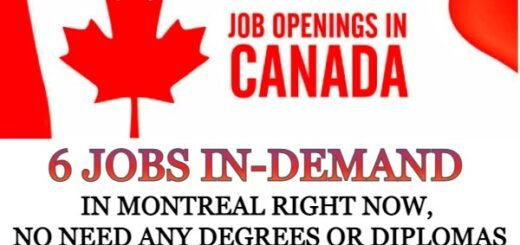 6 Jobs In-Demand in Montreal Right Now, No Need Any Degrees Or Diplomas
