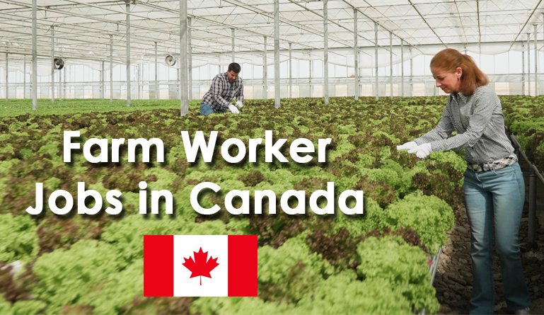 Farm Worker Jobs in Canada